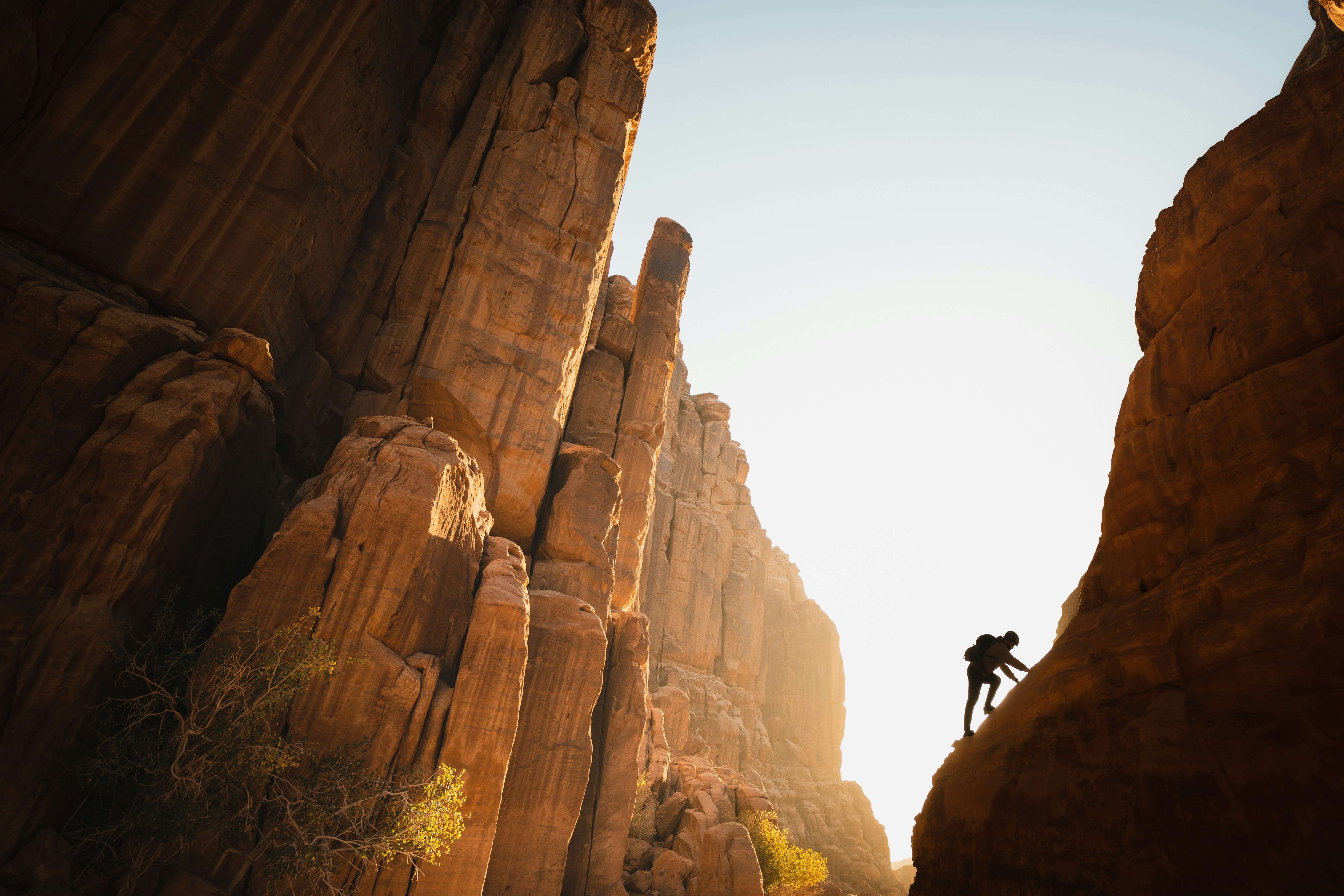 Neom 85ey1vFIwkc unsplash
